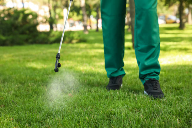 Pest Control for Restaurants in Lexington, OK