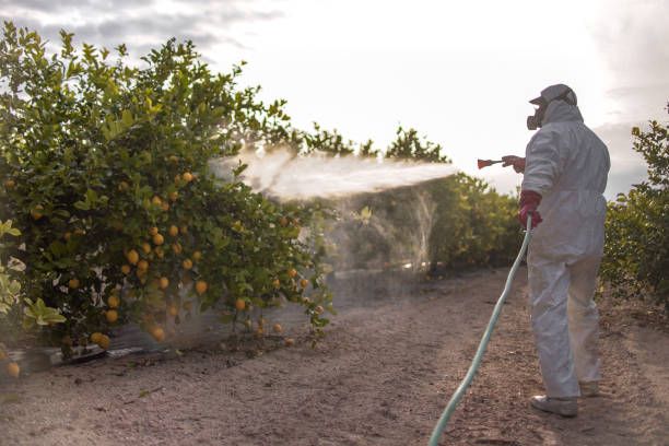 Wildlife Control Services in Lexington, OK
