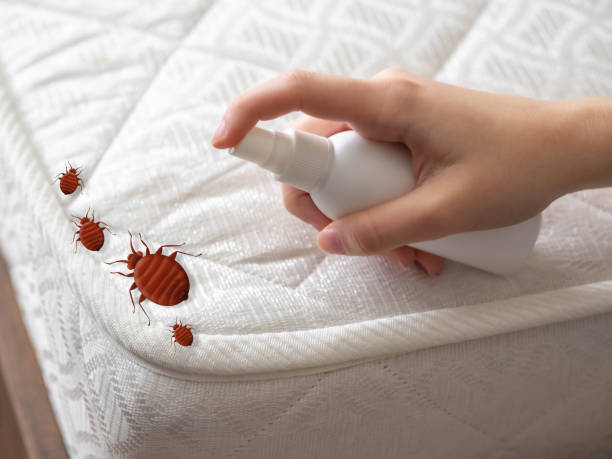 Best Flea Control Services  in Lexington, OK