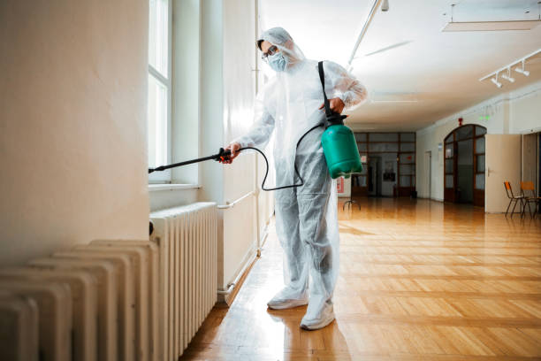 Flea Control Services in Lexington, OK