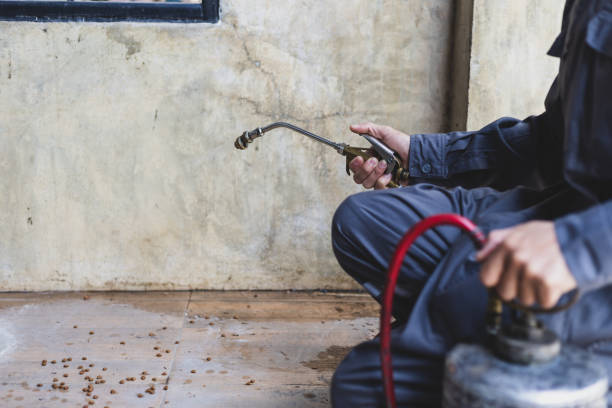 Best Local Pest Control Services  in Lexington, OK