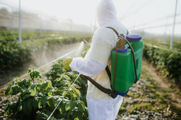 Best Mosquito Control Services  in Lexington, OK